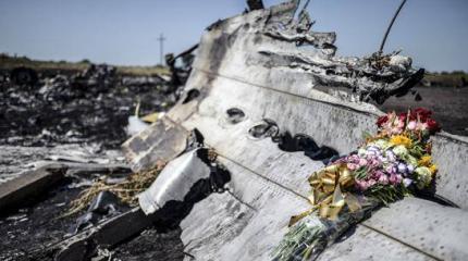 Украина сбила Боинг. В Нидерландах согласились