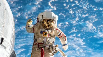 News рассказало об обязательном для астронавтов NASA русском языке News рассказало об обязательном для астронавтов NASA русском языке