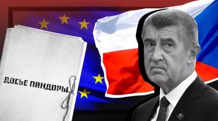 Причиной поражения Бабиша на выборах в Чехии стала русофобия Причиной поражения Бабиша на выборах в Чехии стала русофобия