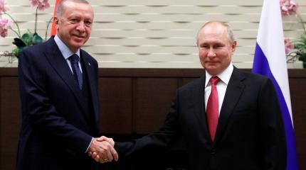 Стали известны подробности разговора Путина с Эрдоганом Стали известны подробности разговора Путина с Эрдоганом
