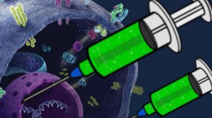 В американских и британских вакцинах обнаружили г.м. раковые гены человека В американских и британских вакцинах обнаружили г.м. раковые гены человека