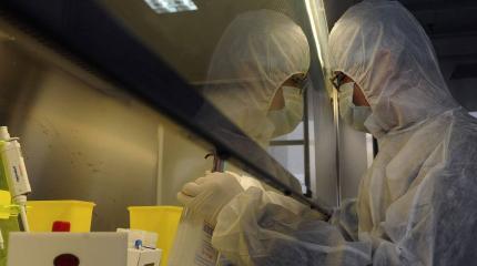 "Великая берлинская стена": США не просто так окружают РФ биолабораториями "Великая берлинская стена": США не просто так окружают РФ биолабораториями