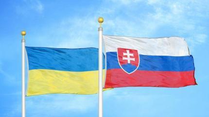 Словацкая оппозиция выступила против возможного членства Украины в НАТО Словацкая оппозиция выступила против возможного членства Украины в НАТО