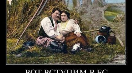 «Украинская мечта» «Украинская мечта»