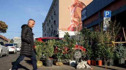Грузия: Русофобия неискоренима? Не факт!
