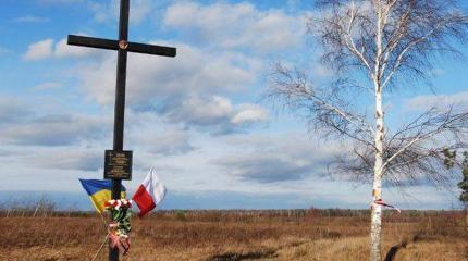 Иски на $5 млрд и запрет на въезд в страну. Чего украинцам ждать от Польши Иски на $5 млрд и запрет на въезд в страну. Чего украинцам ждать от Польши
