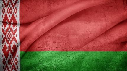 Почему чиновники Беларуси саботируют указания президента? Почему чиновники Беларуси саботируют указания президента?