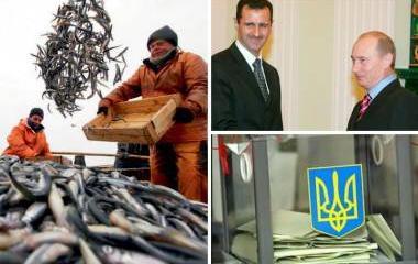 Избавление от Януковича, поддержка Сирии и рыбное спасение России. Обзор западных СМИ Избавление от Януковича, поддержка Сирии и рыбное спасение России. Обзор западных СМИ