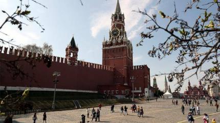 «Путинисты», «либералы» и «дебилы» нашего мозга «Путинисты», «либералы» и «дебилы» нашего мозга