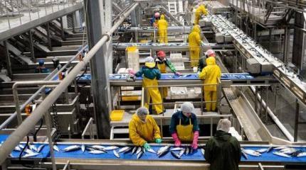 Совместная деятельность с японцами на Курилах: миссия невыполнима Совместная деятельность с японцами на Курилах: миссия невыполнима