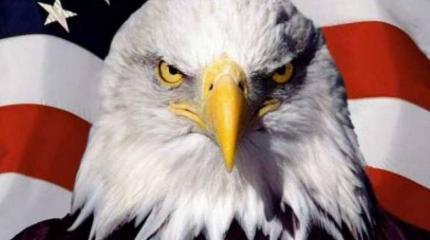 В рядах американских «ястребов» паника — «Трамп нас кинул!» В рядах американских «ястребов» паника — «Трамп нас кинул!»