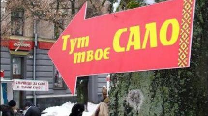 Кавказская пленница образца 2015-го