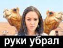 Навальный еще не избрался мэром, а его пресс-секретутка уже плюет в лица москвичей Навальный еще не избрался мэром, а его пресс-секретутка уже плюет в лица москвичей
