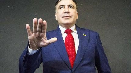 Вице-премьер Саакашвили приведет Украину к хаосу и постоянным конфликтам Вице-премьер Саакашвили приведет Украину к хаосу и постоянным конфликтам