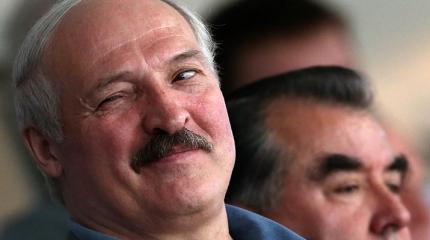 На Украине рассказали, как Лукашенко «втихушку» поддерживал майдан в Киеве На Украине рассказали, как Лукашенко «втихушку» поддерживал майдан в Киеве