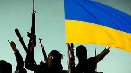 Сирийские исламисты едут к Зеленскому Сирийские исламисты едут к Зеленскому