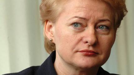Грибаускайте: ЕС не будет обсуждать санкции против РФ до марта Грибаускайте: ЕС не будет обсуждать санкции против РФ до марта