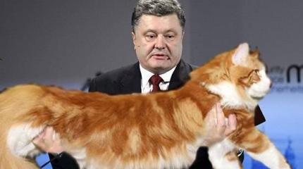 Ответят территорией: О политических трупах, которым нечего терять Ответят территорией: О политических трупах, которым нечего терять