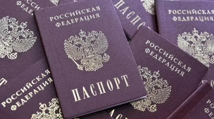 Членам команды Байдена полюбились русские березки Членам команды Байдена полюбились русские березки