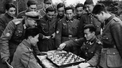 Исламская геополитика Запада: шахматная доска только для одного игрока