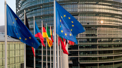 Европарламент утвердил доклад о непризнании выборов в РФ Европарламент утвердил доклад о непризнании выборов в РФ