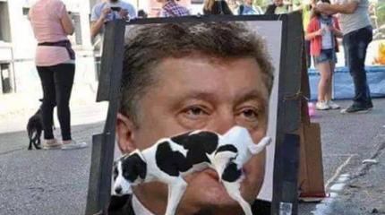Хозяин Байден назначил Порошенко любимой женой! Хозяин Байден назначил Порошенко любимой женой!