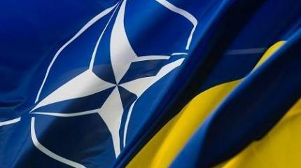 Почему НАТО променял Украину на Бразилию Почему НАТО променял Украину на Бразилию