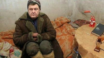 Шумер на передержку Шумер на передержку