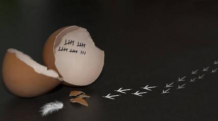 Демократия в либеральной России
