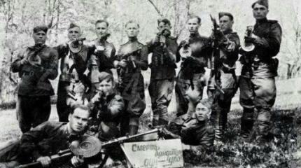 Каялись бандеровские провидныкы. Аж гай шумів (II)