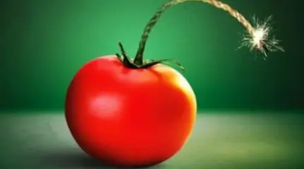 Чего мы не знаем о ГМО Чего мы не знаем о ГМО