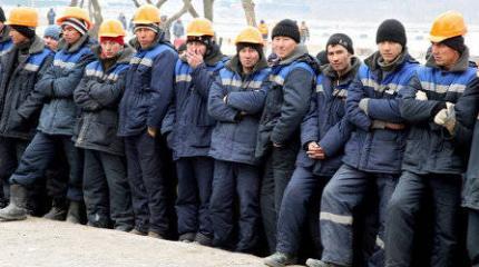 Страны БРИКС вырабатывают единый подход к миграционной проблеме
