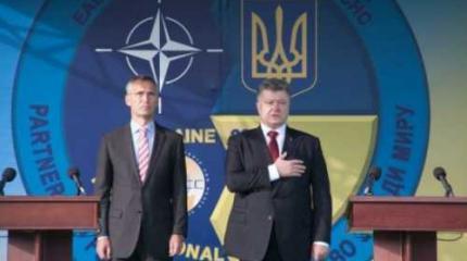 Украина и НАТО: любит – не любит