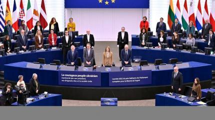 Евродепутаты озабочены российским влиянием в Сербии Евродепутаты озабочены российским влиянием в Сербии