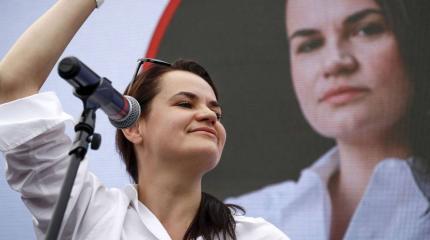 Два года «беломайдану»: «жабогадюкинг» в оппозиции прогрессирует Два года «беломайдану»: «жабогадюкинг» в оппозиции прогрессирует