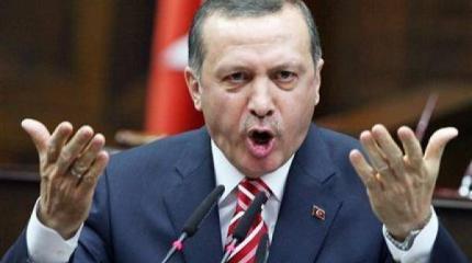 Эрдоган не хочет признавать очевидного