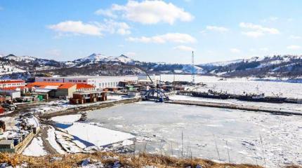 Америка все решила: Курилы отдать Японии, курильчан признать самураями