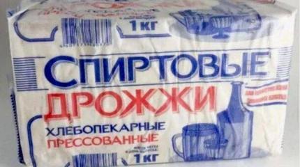 Первая пачка дрожжей в канализацию «Украина» Первая пачка дрожжей в канализацию «Украина»