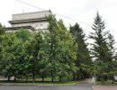 Власти Красноярска "помогли усохнуть" лесу на 3 тысячи гектаров Власти Красноярска "помогли усохнуть" лесу на 3 тысячи гектаров