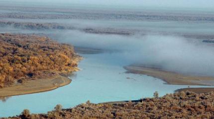 Ядовитые воды Ядовитые воды