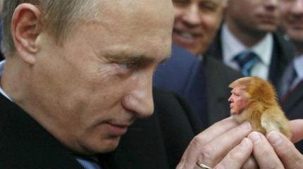 Зачем Трамп звонил Путину: о чем они договорились и что это значит? Зачем Трамп звонил Путину: о чем они договорились и что это значит?