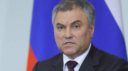 Володин назвал политическими громыханиями обвинения Нидерландов в адрес РФ