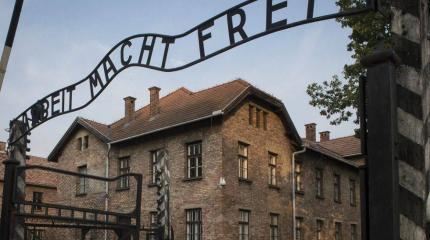 На Украине доигрались… Компьютерное действо развернуто в Освенциме На Украине доигрались… Компьютерное действо развернуто в Освенциме