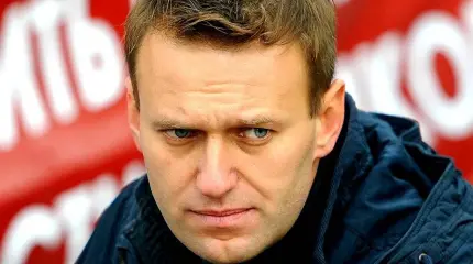 Единственным коррупционером, которого посадил Навальный, стал его брат Единственным коррупционером, которого посадил Навальный, стал его брат