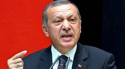 Западные СМИ: Турция еще не раз пожалеет