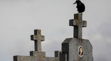 Руины Украины вымирают Руины Украины вымирают