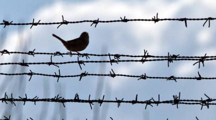 Гуманные новости России