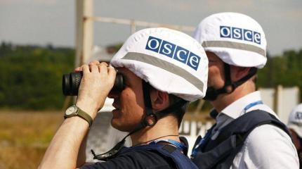 ОБСЕ хочет в Крым: русофобия выдохлась ОБСЕ хочет в Крым: русофобия выдохлась