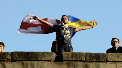 В Грузии возмущены поведением Украины В Грузии возмущены поведением Украины