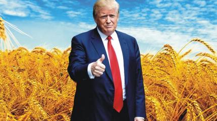 Трамп-революция сделает Украину свободной Трамп-революция сделает Украину свободной